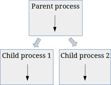 Multiprocessing Multiprocessing
