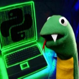 I coded my own PIP for Python