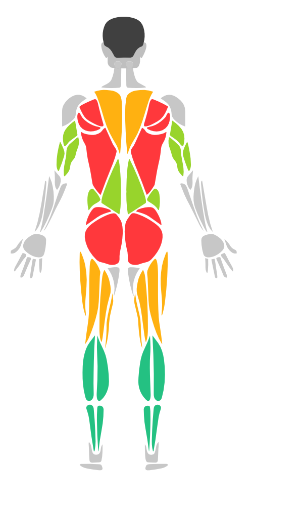 Thermal Heatmap