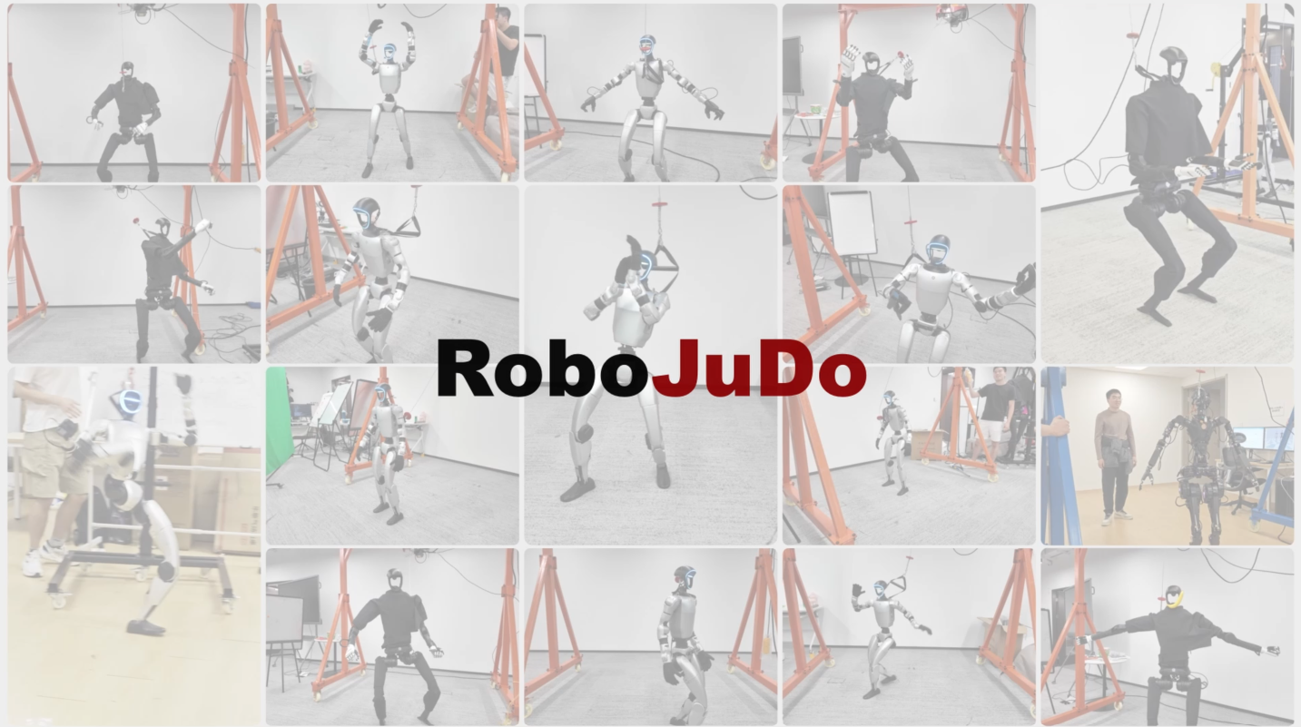 RoboJuDo