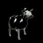 plymouth-polishcow