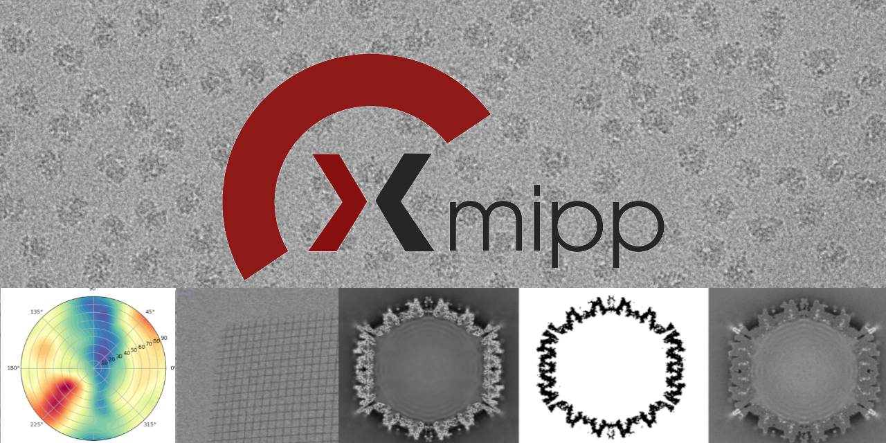 xmipp3