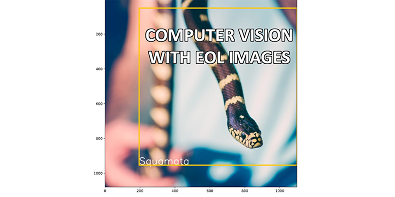 computer-vision-with-EOL-images