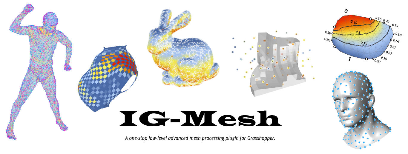 igMesh