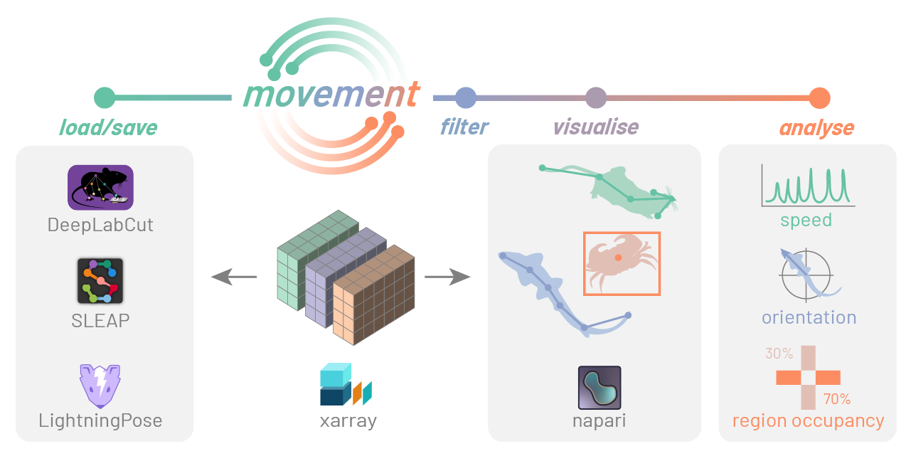 movement