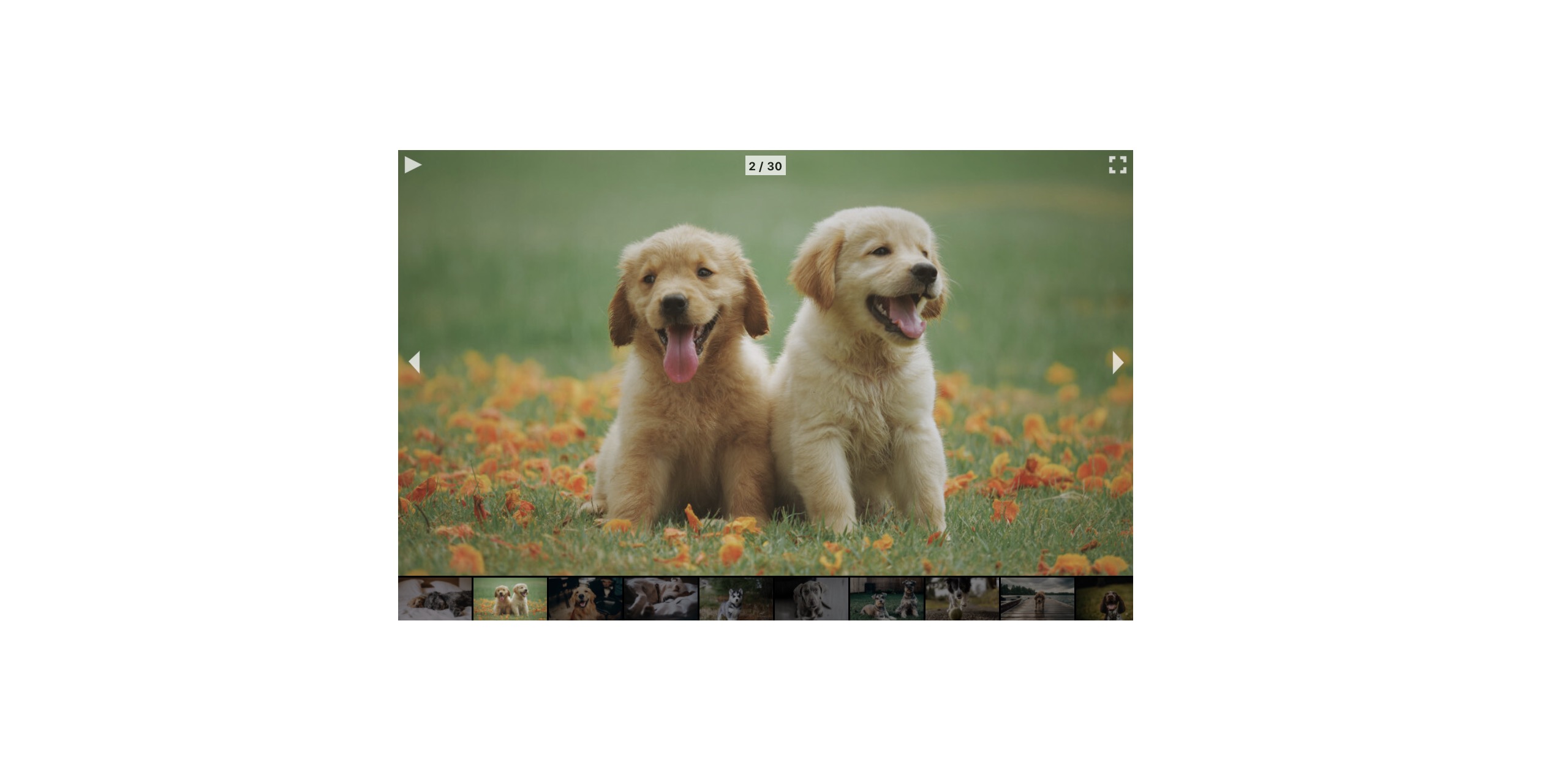 react-gallery-carousel