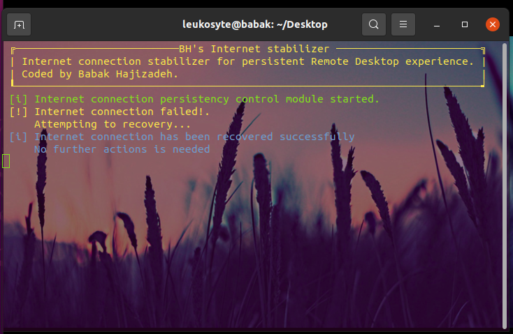 Linux-Internet-Stabilizer