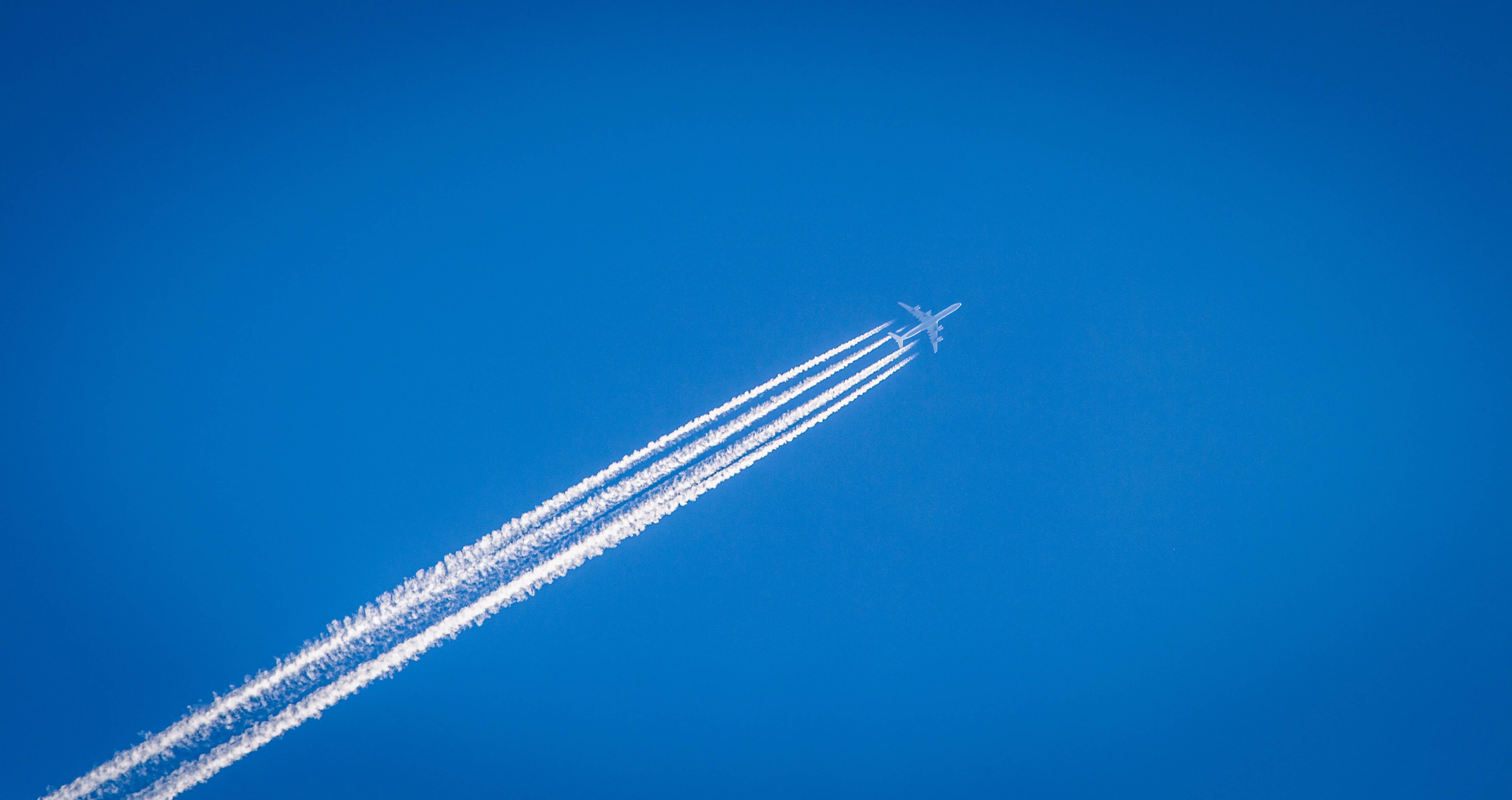 flight-hunter