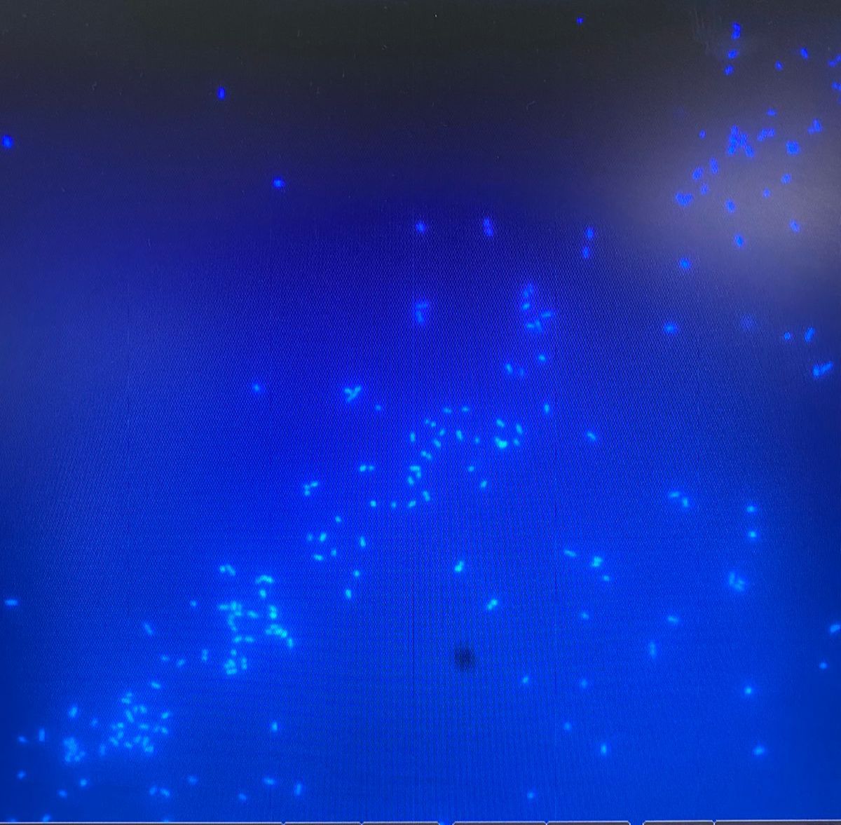 Computer-vision-in-the-service-of-bacteriology