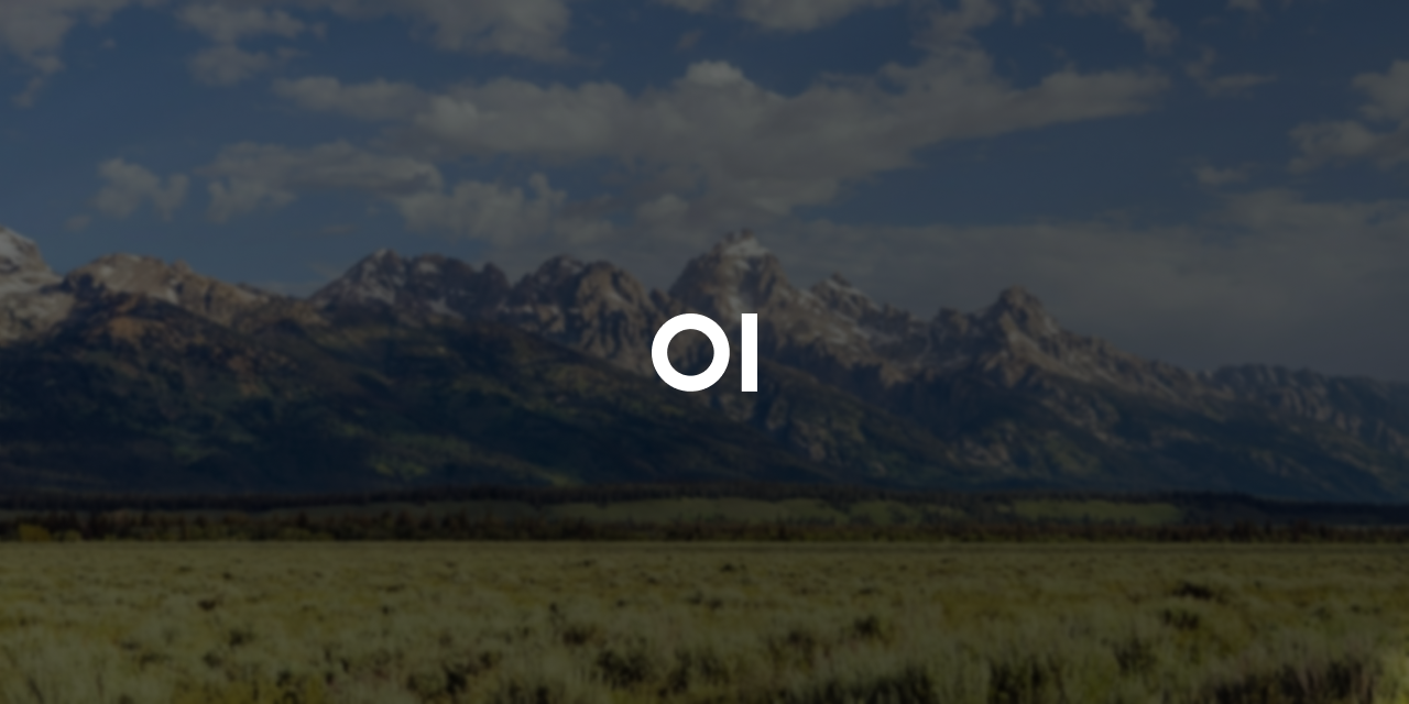 open-webui