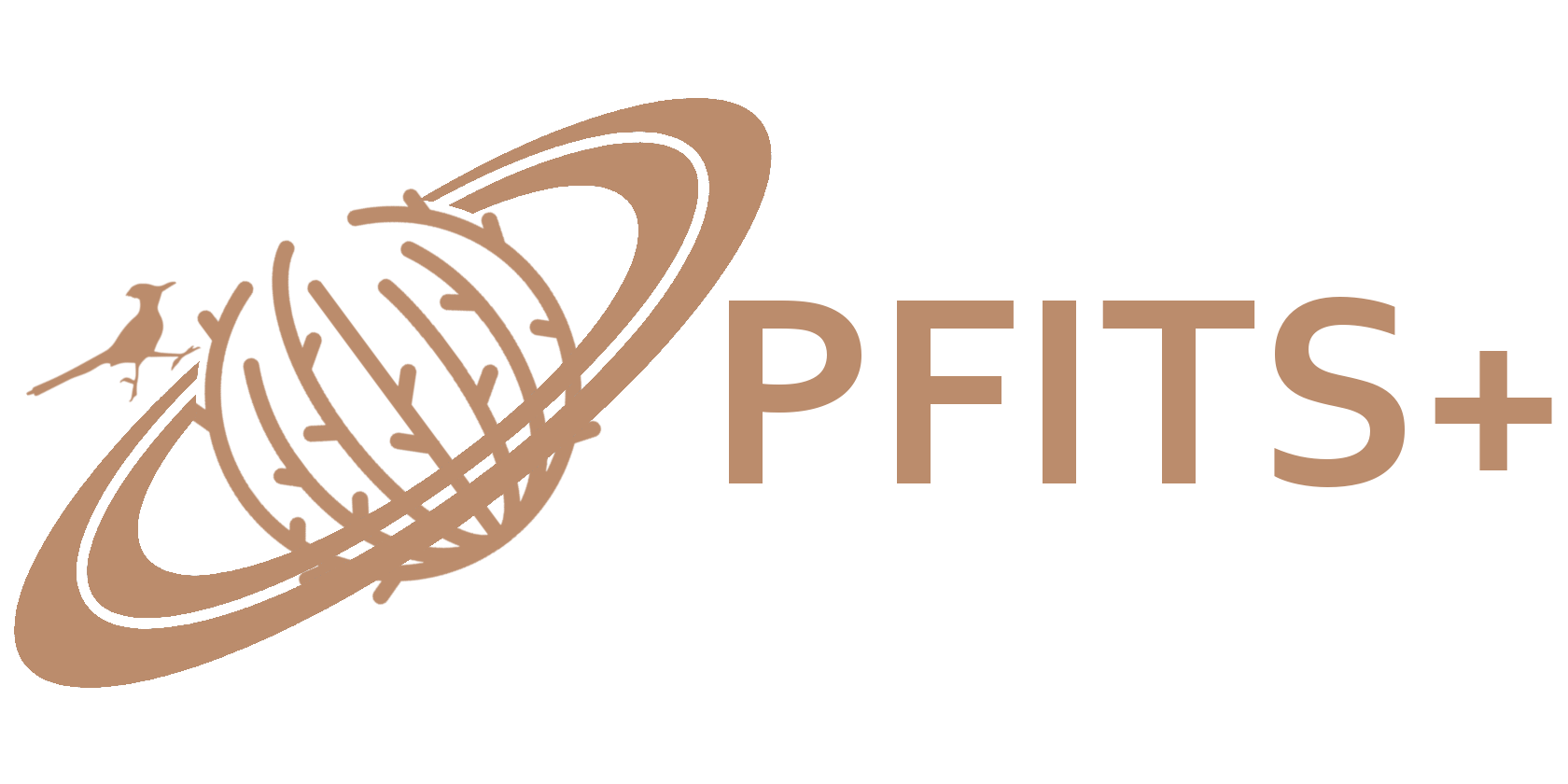 pfitsplus.github.io