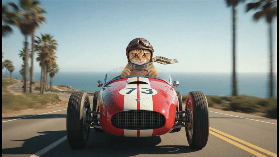 Seekor kucing mengemudi dari tebing dan terbang