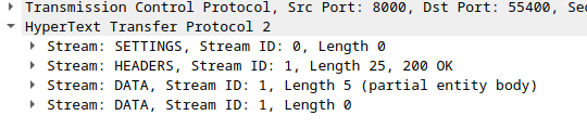 screenshot showing two DATA frames