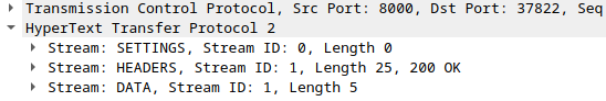 screenshot showing one DATA frame