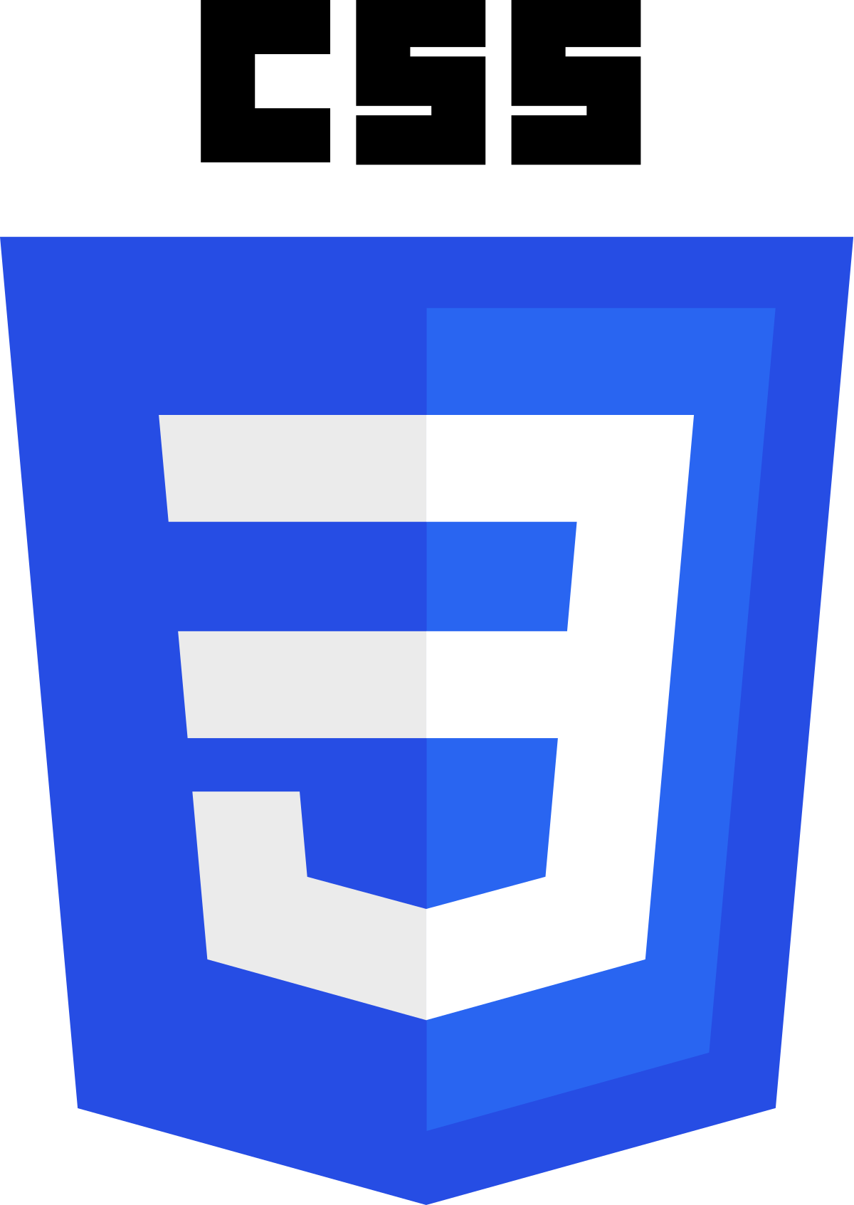 CSS CSS