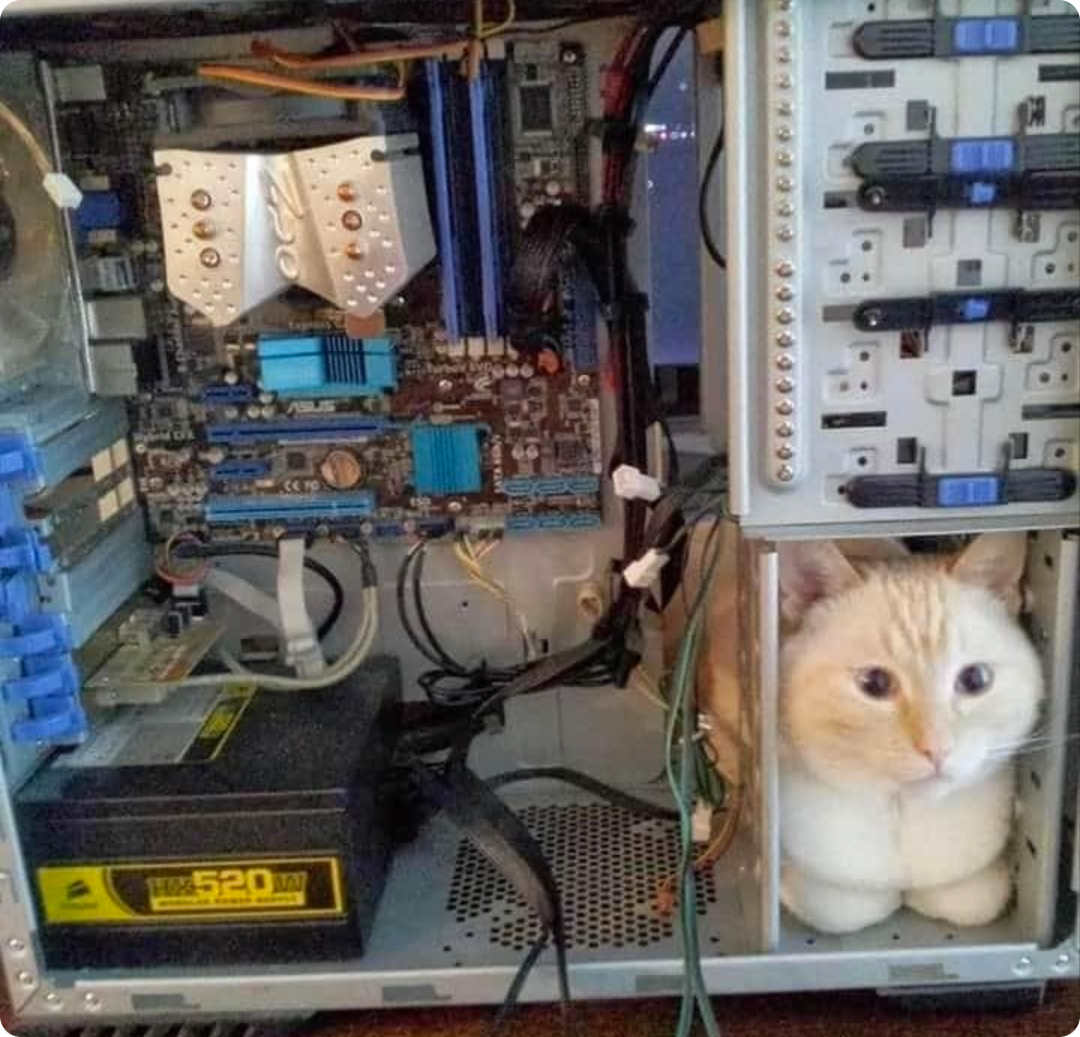 Cat sitting inside a computer case