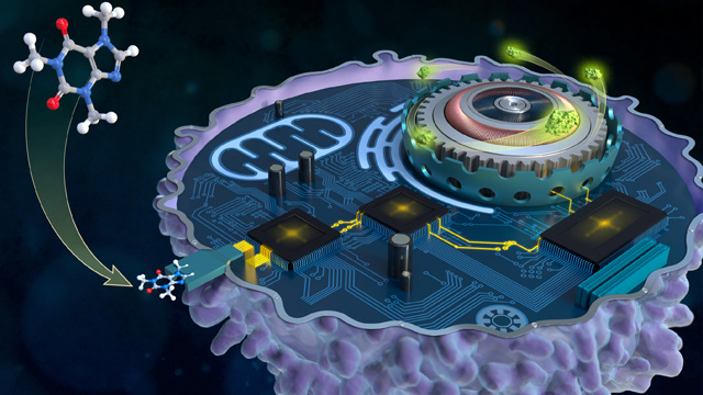A computer generated image of a cell made up of circuits and chips with molecules moving in and out of the cell.