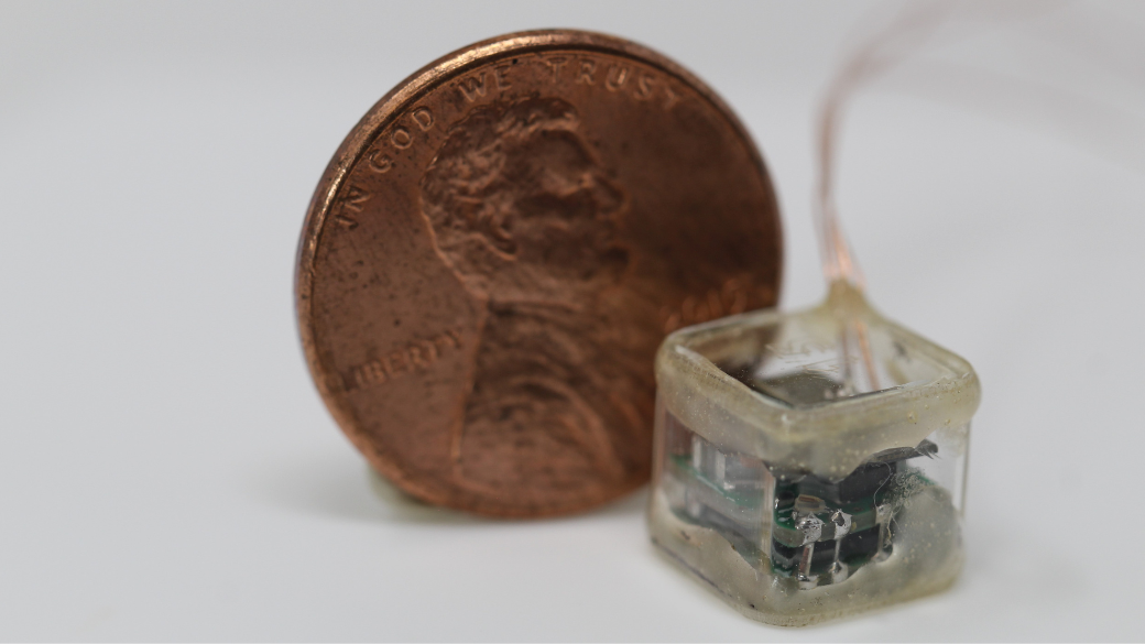 Photograph of the small implantable pulse generator with a penny for scale