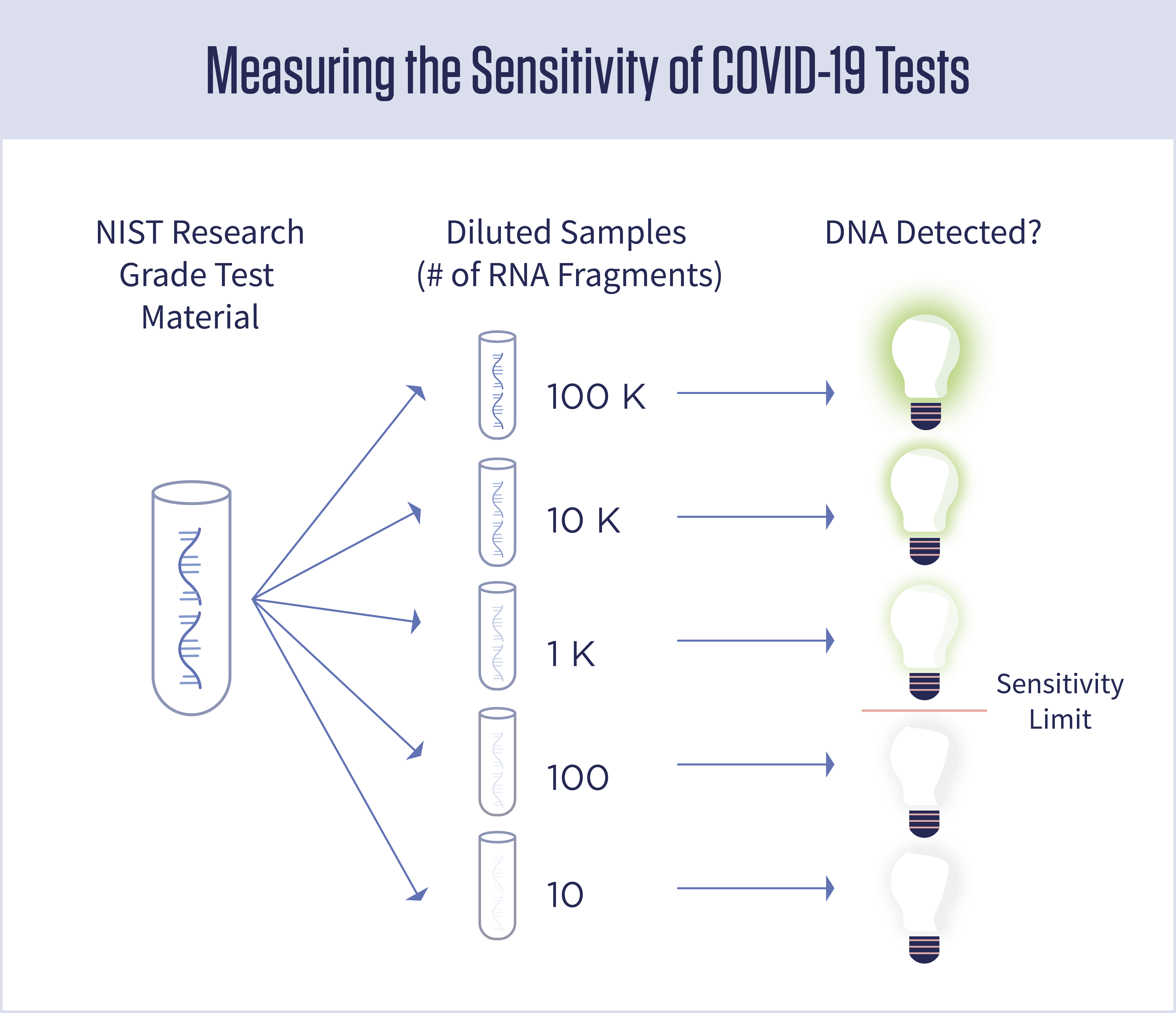 A diagram showing five tubes with decreasing amounts of viral RNA in them. Lightbulbs next to each tube are either glowing or not glowing, indicating positive or negative test results.