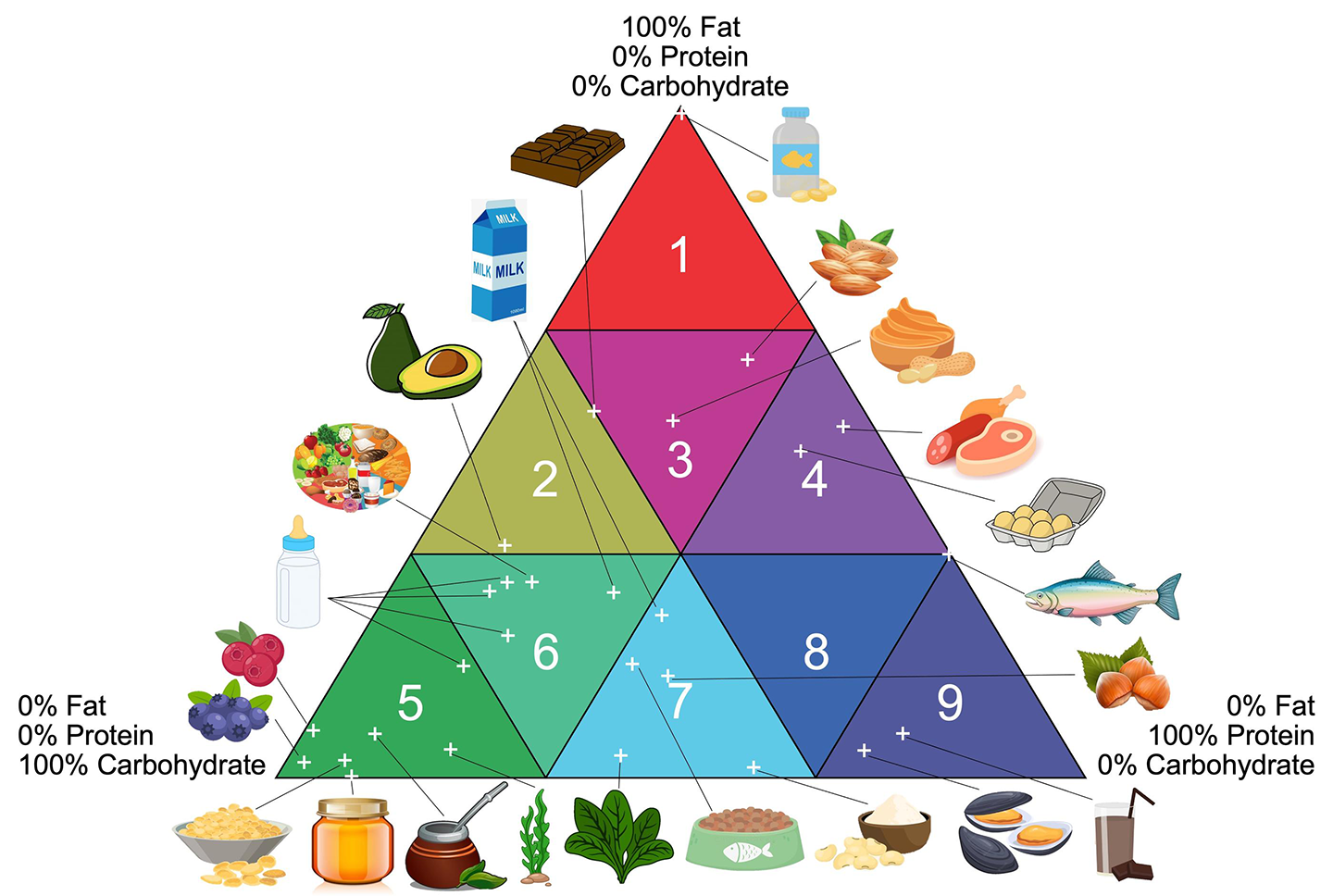 A food pyramid showing 30 food standard reference materials at NIST